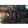 Ubisoft WATCH DOGS SPECIAL EDITION XBOX ONE - 1394396 - zdjęcie 2